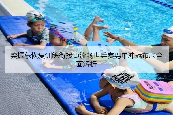 樊振东恢复训练衔接更流畅世乒赛男单冲冠布局全面解析